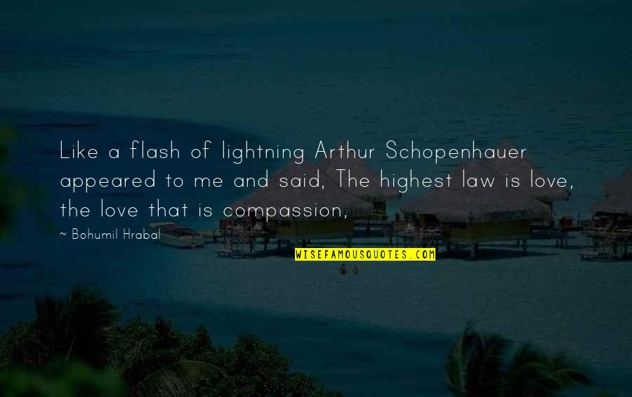 Bohumil Hrabal Quotes By Bohumil Hrabal: Like a flash of lightning Arthur Schopenhauer appeared