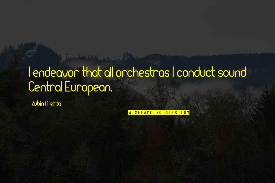 Bohunks Quotes By Zubin Mehta: I endeavor that all orchestras I conduct sound