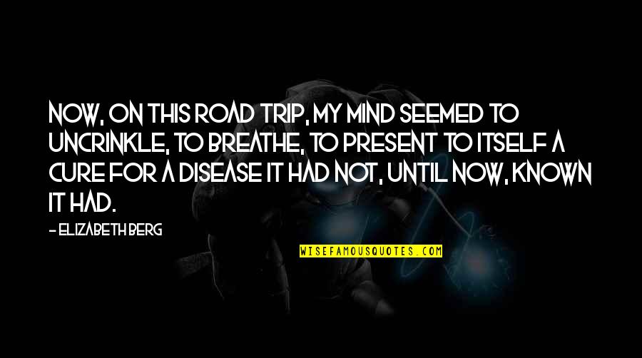 Boiler Breakdown Cover Quotes By Elizabeth Berg: Now, on this road trip, my mind seemed Boiler Breakdown Cover Quotes By Elizabeth Berg: Now, on this road trip, my mind seemed