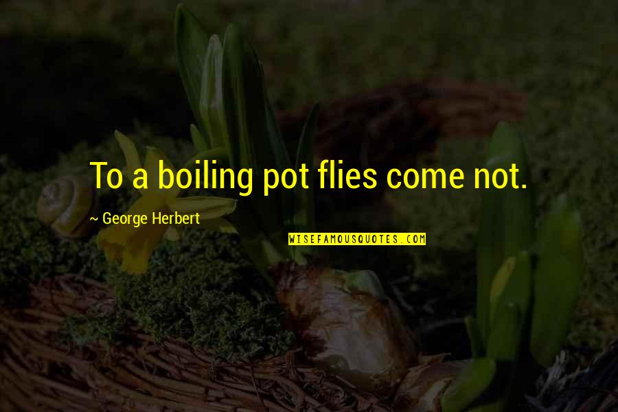 Boiling Pot Quotes By George Herbert: To a boiling pot flies come not.