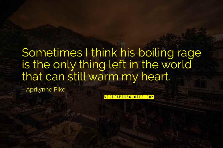 Boiling Quotes By Aprilynne Pike: Sometimes I think his boiling rage is the