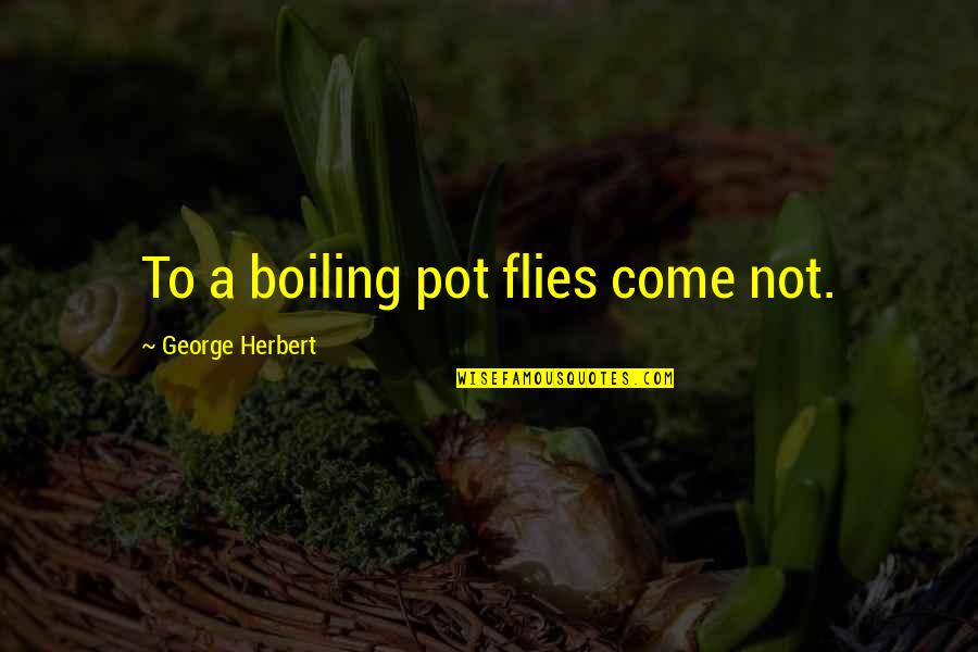 Boiling Quotes By George Herbert: To a boiling pot flies come not.