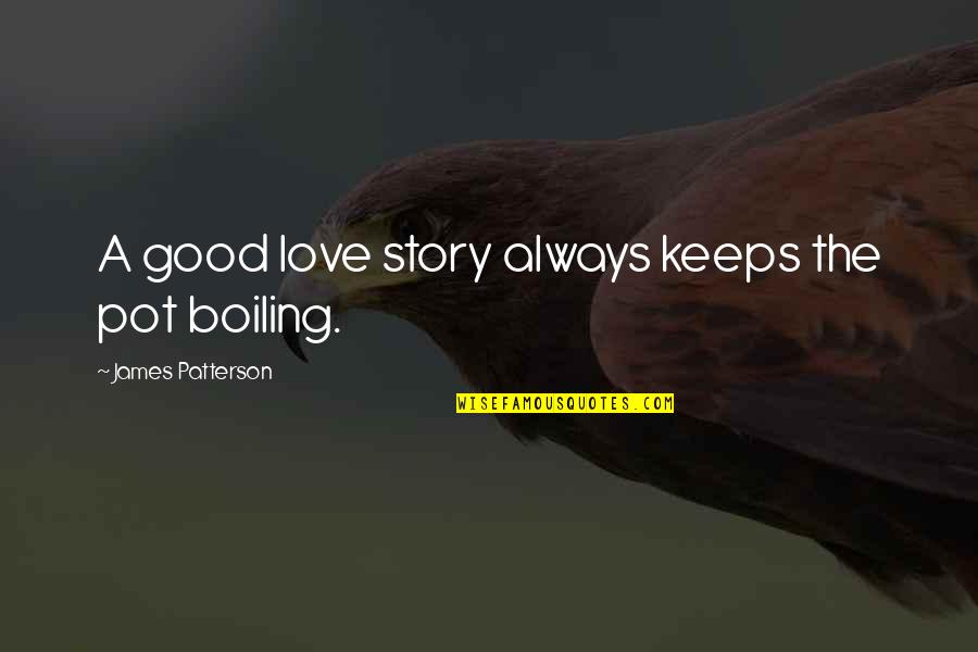 Boiling Quotes By James Patterson: A good love story always keeps the pot