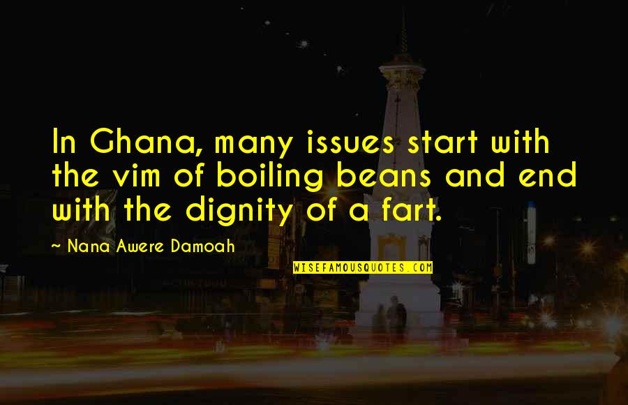 Boiling Quotes By Nana Awere Damoah: In Ghana, many issues start with the vim