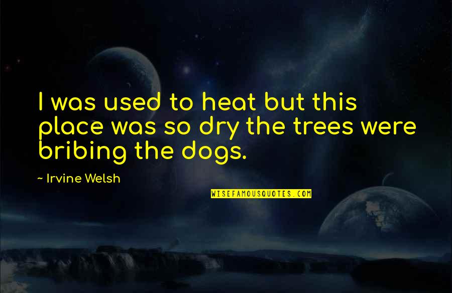 Boiling Springs Bank Quotes By Irvine Welsh: I was used to heat but this place