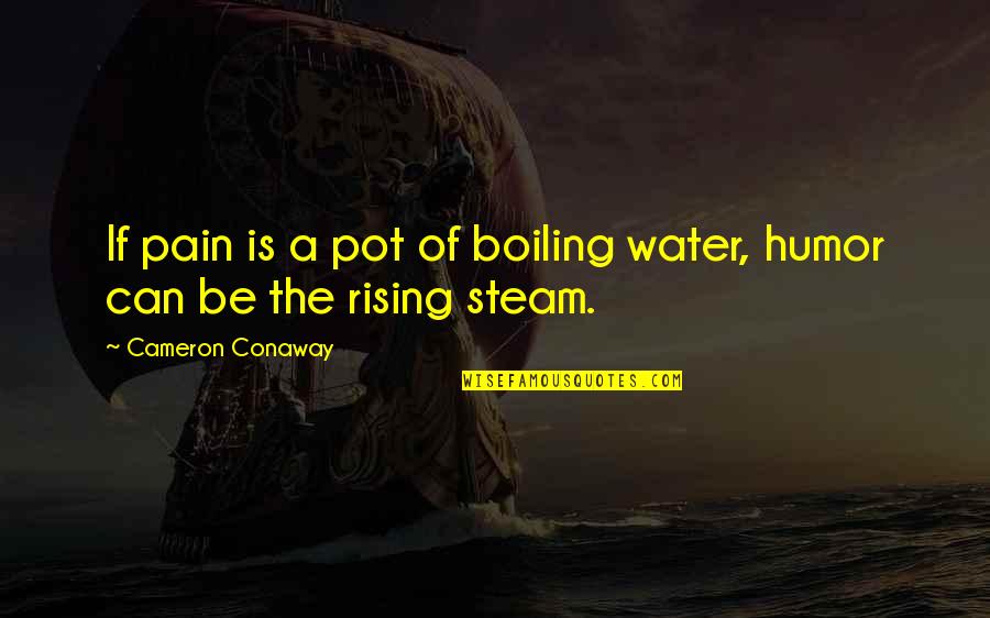 Boiling Water Quotes By Cameron Conaway: If pain is a pot of boiling water,