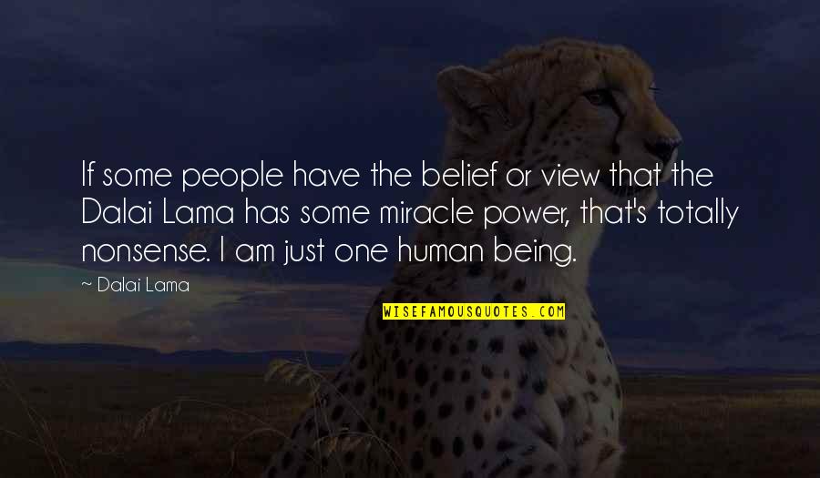 Boisier Des Quotes By Dalai Lama: If some people have the belief or view