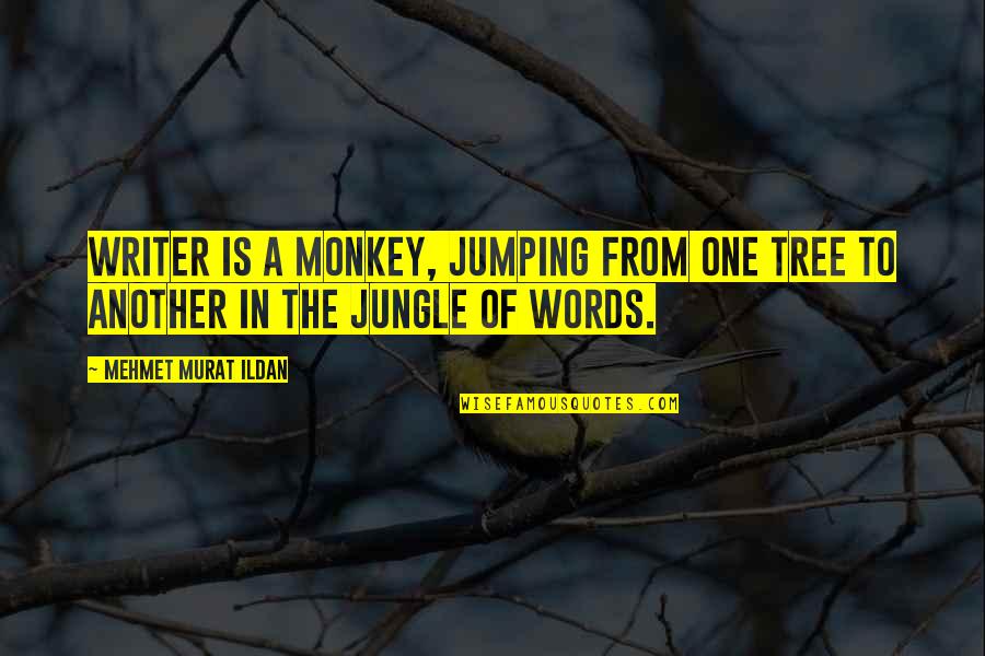 Boitumelo Mogopa Quotes By Mehmet Murat Ildan: Writer is a monkey, jumping from one tree Boitumelo Mogopa Quotes By Mehmet Murat Ildan: Writer is a monkey, jumping from one tree