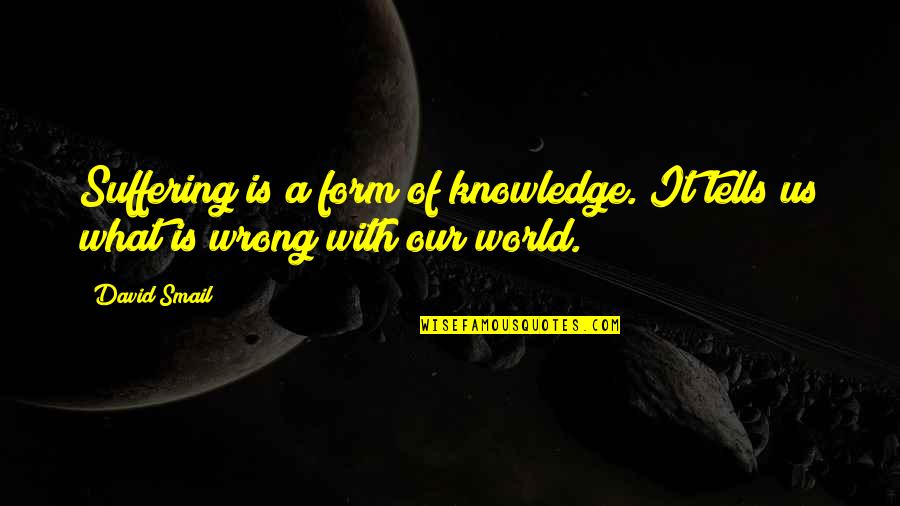 Bojanic Gidra Quotes By David Smail: Suffering is a form of knowledge. It tells