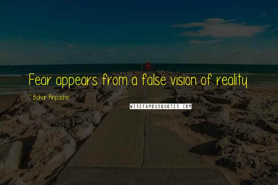 Bokar Rinpoche quotes: Fear appears from a false vision of reality.
