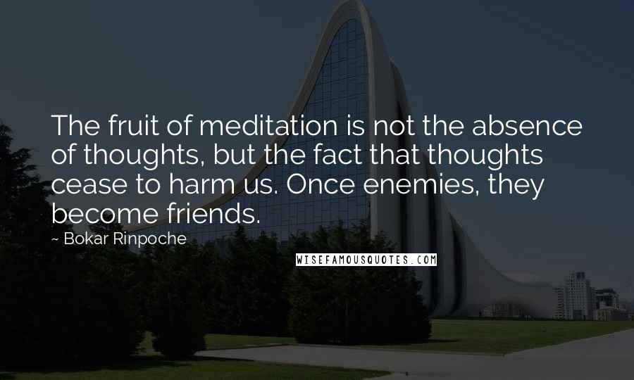 Bokar Rinpoche quotes: The fruit of meditation is not the absence of thoughts, but the fact that thoughts cease to harm us. Once enemies, they become friends.