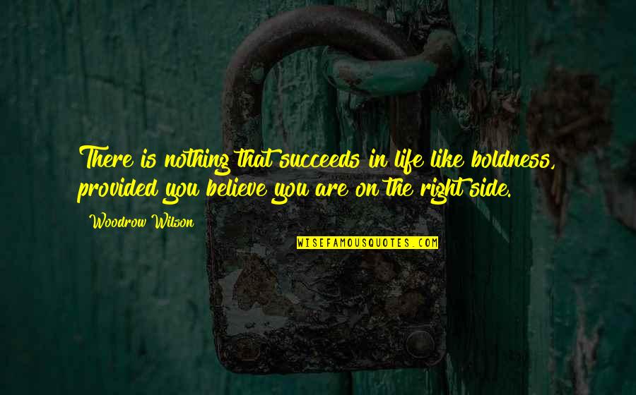 Boldness Quotes By Woodrow Wilson: There is nothing that succeeds in life like