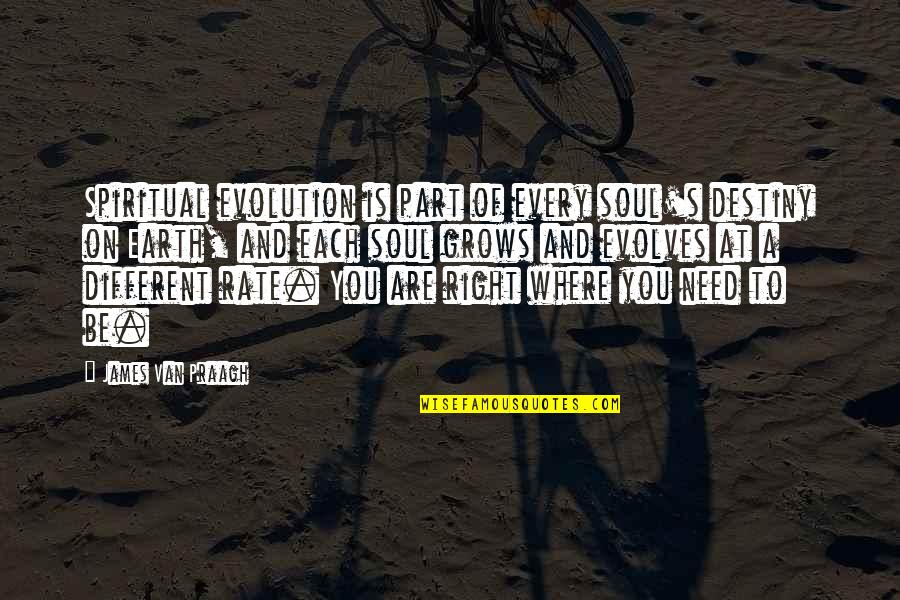 Boljevic Psv Quotes By James Van Praagh: Spiritual evolution is part of every soul's destiny Boljevic Psv Quotes By James Van Praagh: Spiritual evolution is part of every soul's destiny