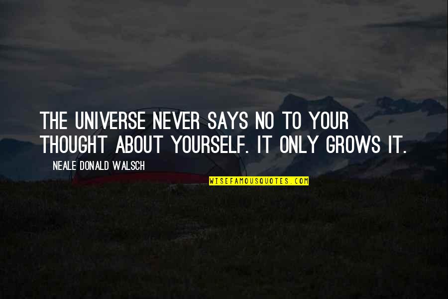Bollens Quotes By Neale Donald Walsch: The universe never says no to your thought