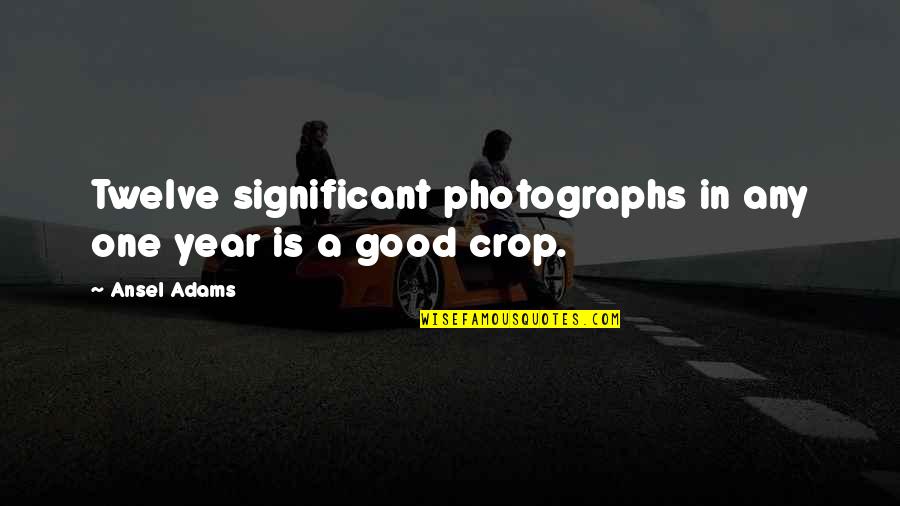 Bollert Lebeau Quotes By Ansel Adams: Twelve significant photographs in any one year is