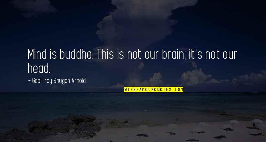 Bollettieri Academy Quotes By Geoffrey Shugen Arnold: Mind is buddha. This is not our brain; Bollettieri Academy Quotes By Geoffrey Shugen Arnold: Mind is buddha. This is not our brain;