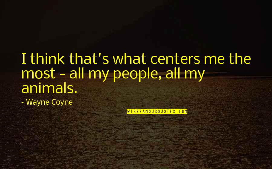 Bollingen Stone Quotes By Wayne Coyne: I think that's what centers me the most