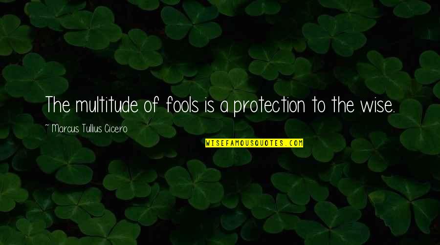 Bollinger Quotes By Marcus Tullius Cicero: The multitude of fools is a protection to