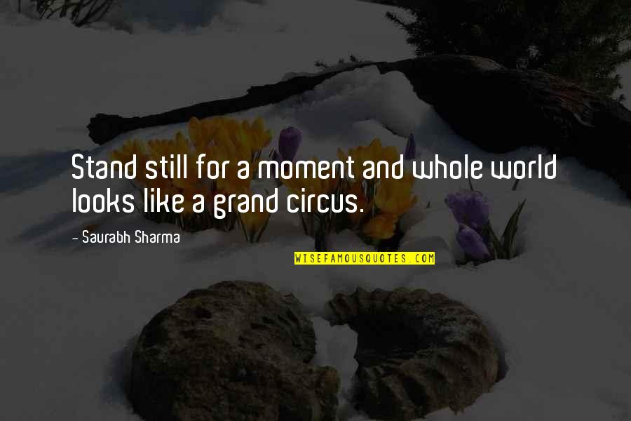 Bollo Mighty Boosh Quotes By Saurabh Sharma: Stand still for a moment and whole world Bollo Mighty Boosh Quotes By Saurabh Sharma: Stand still for a moment and whole world