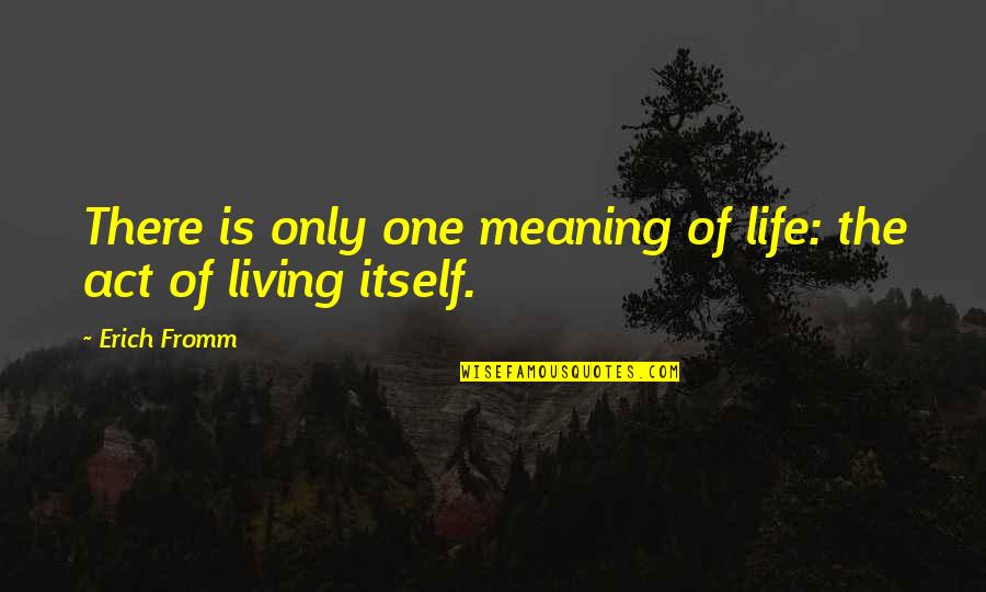 Bollock Quotes By Erich Fromm: There is only one meaning of life: the