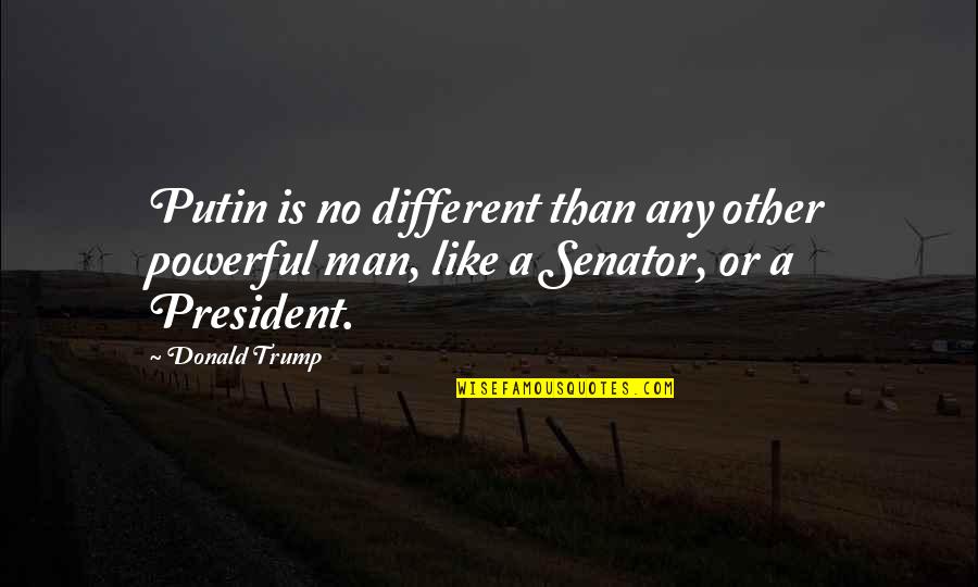 Bollwerk Tatlow Quotes By Donald Trump: Putin is no different than any other powerful