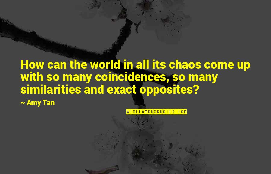 Bolnica Adonis Quotes By Amy Tan: How can the world in all its chaos Bolnica Adonis Quotes By Amy Tan: How can the world in all its chaos