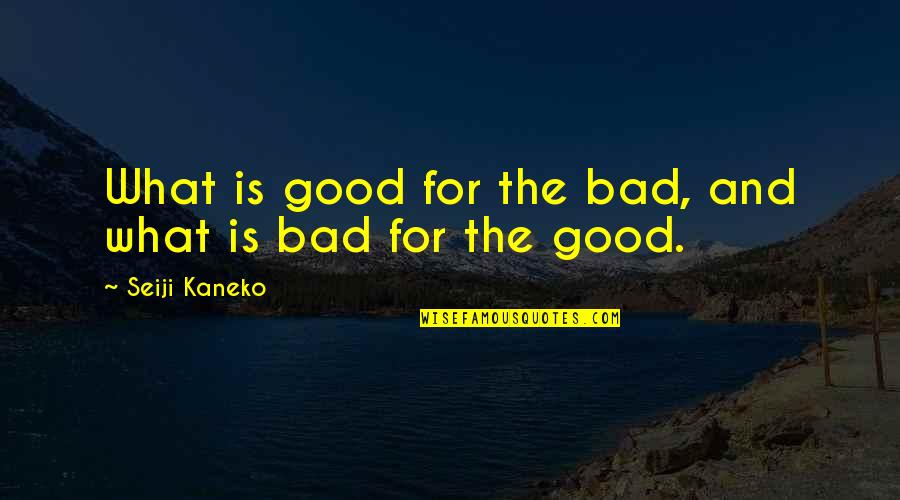 Bolognini As A Boxer Quotes By Seiji Kaneko: What is good for the bad, and what