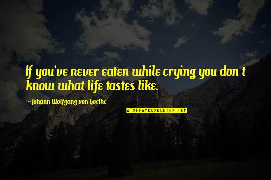 Bolsillos Vacios Quotes By Johann Wolfgang Von Goethe: If you've never eaten while crying you don