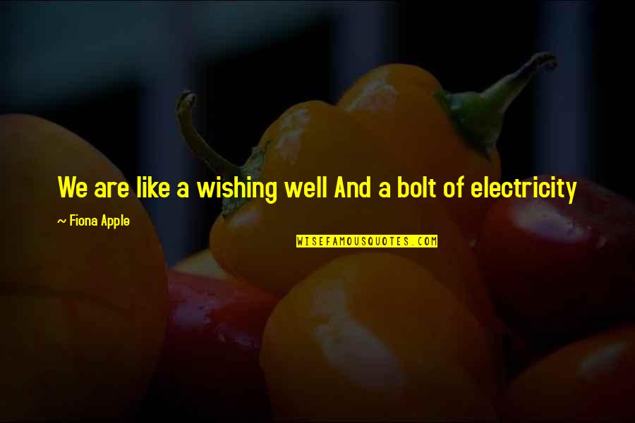 Bolt Quotes By Fiona Apple: We are like a wishing well And a