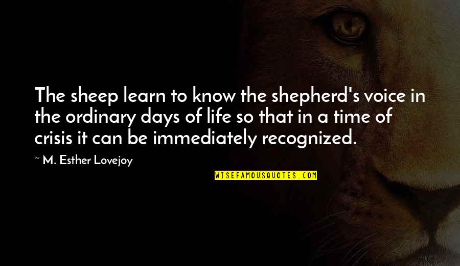 Bomb Threat Quotes By M. Esther Lovejoy: The sheep learn to know the shepherd's voice