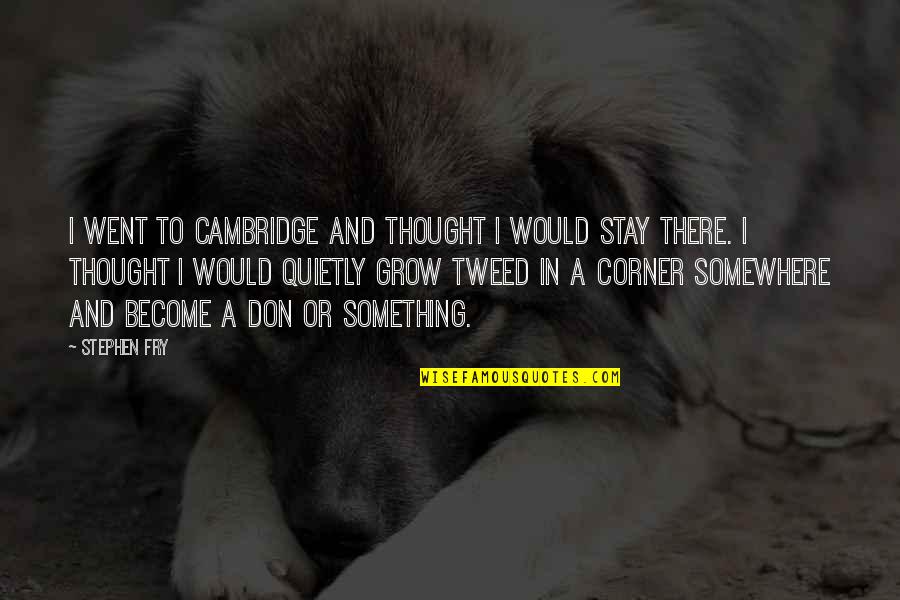 Bombilla In English Quotes By Stephen Fry: I went to Cambridge and thought I would Bombilla In English Quotes By Stephen Fry: I went to Cambridge and thought I would