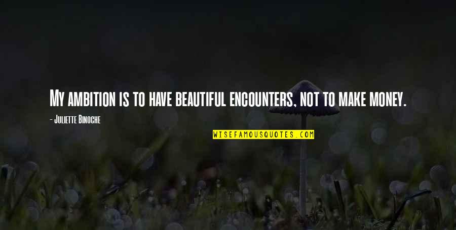 Bomhard Ip Quotes By Juliette Binoche: My ambition is to have beautiful encounters, not Bomhard Ip Quotes By Juliette Binoche: My ambition is to have beautiful encounters, not