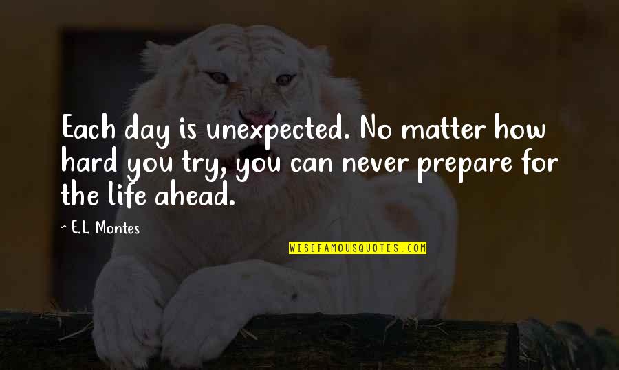 Bompstable Quotes By E.L. Montes: Each day is unexpected. No matter how hard