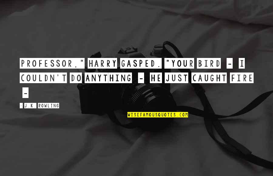 Bonafetti Quotes By J.K. Rowling: Professor," Harry gasped. "Your bird - I couldn't Bonafetti Quotes By J.K. Rowling: Professor," Harry gasped. "Your bird - I couldn't