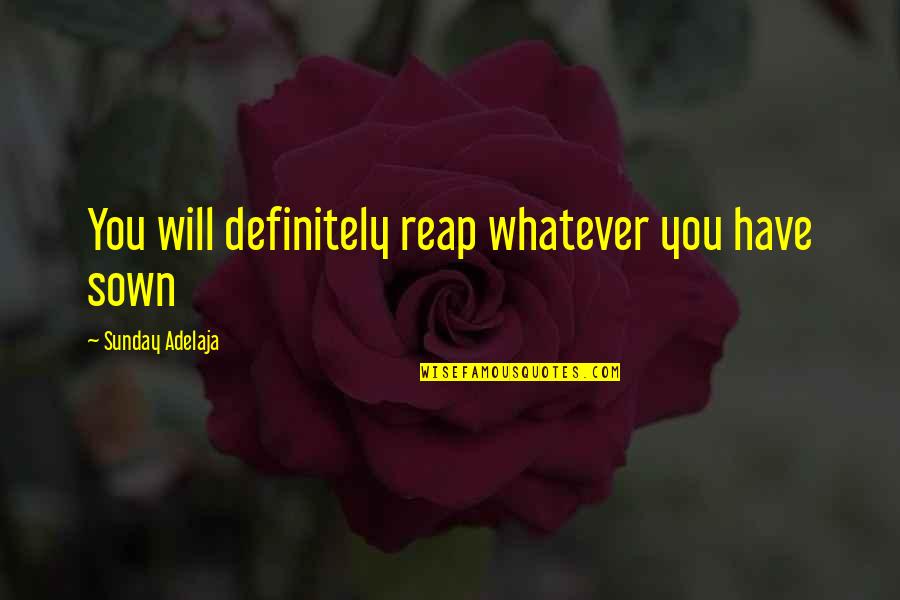 Bonafides Quotes By Sunday Adelaja: You will definitely reap whatever you have sown