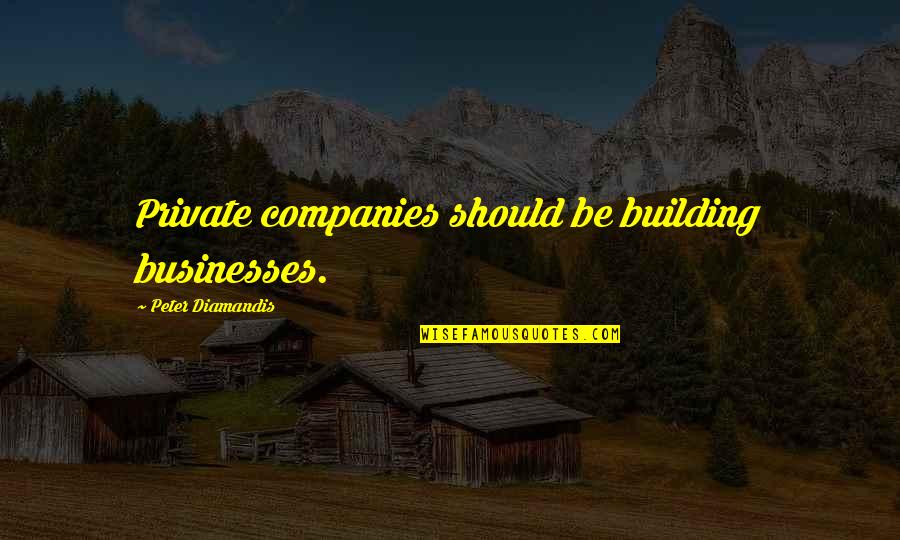 Bonazza Pittore Quotes By Peter Diamandis: Private companies should be building businesses. Bonazza Pittore Quotes By Peter Diamandis: Private companies should be building businesses.
