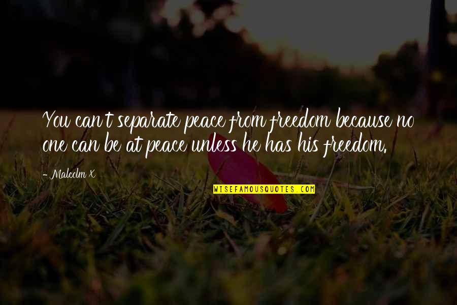 Bonding Time With Niece Quotes By Malcolm X: You can't separate peace from freedom because no