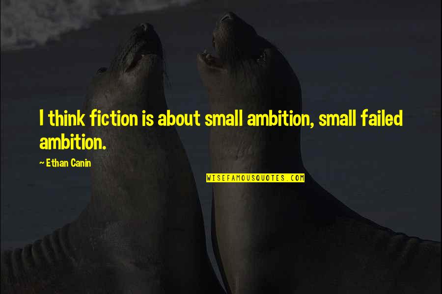 Bonding Time With Son Quotes By Ethan Canin: I think fiction is about small ambition, small