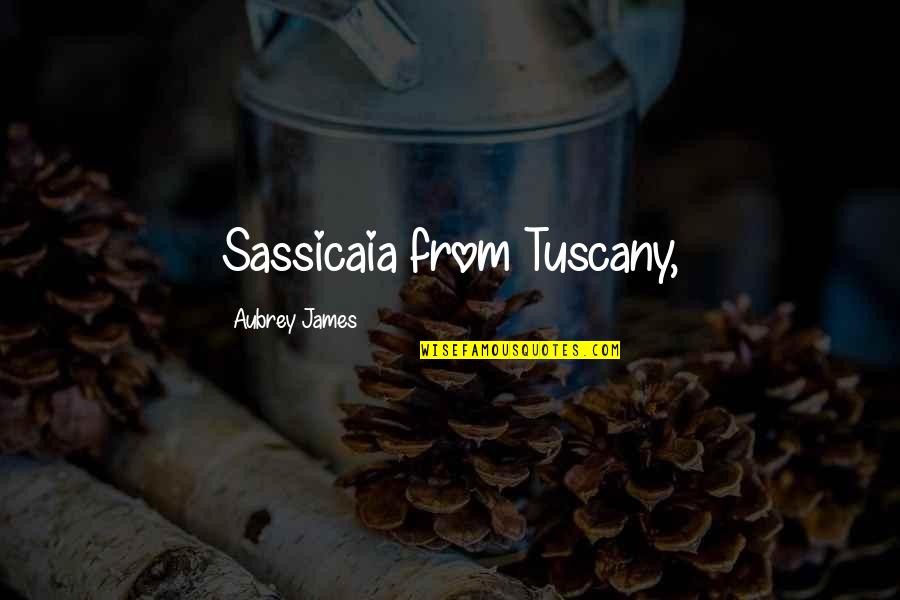 Bondosos Quotes By Aubrey James: Sassicaia from Tuscany,