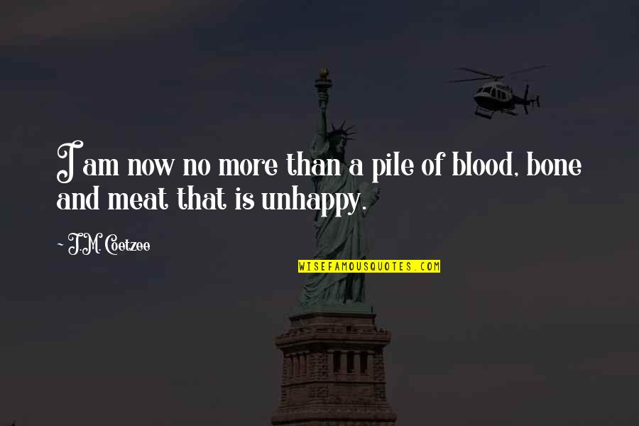 Bone And Blood Quotes By J.M. Coetzee: I am now no more than a pile