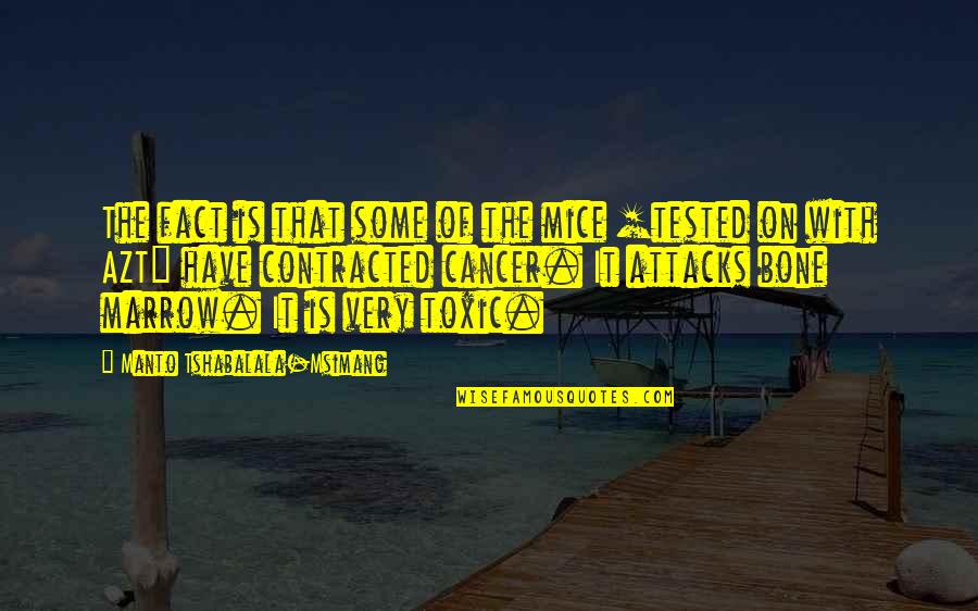 Bone Marrow Quotes By Manto Tshabalala-Msimang: The fact is that some of the mice Bone Marrow Quotes By Manto Tshabalala-Msimang: The fact is that some of the mice