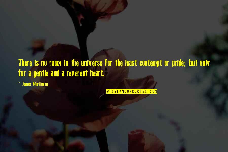 Bonechill Quotes By James Martineau: There is no room in the universe for