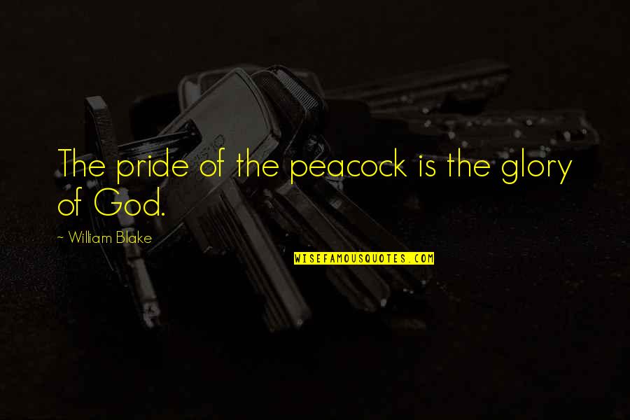 Boneless Wings Quotes By William Blake: The pride of the peacock is the glory Boneless Wings Quotes By William Blake: The pride of the peacock is the glory