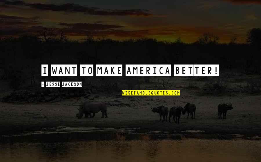 Bongos Sportfishing Quotes By Jesse Jackson: I want to make America better!