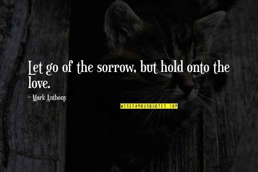 Bonine Active Ingredient Quotes By Mark Anthony: Let go of the sorrow, but hold onto