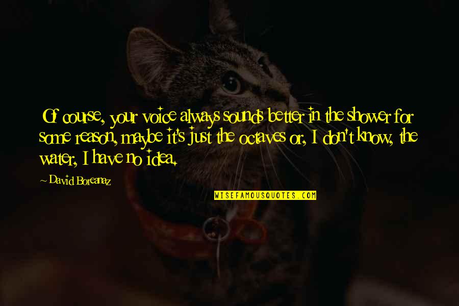 Bonisteel Masonic Library Quotes By David Boreanaz: Of course, your voice always sounds better in