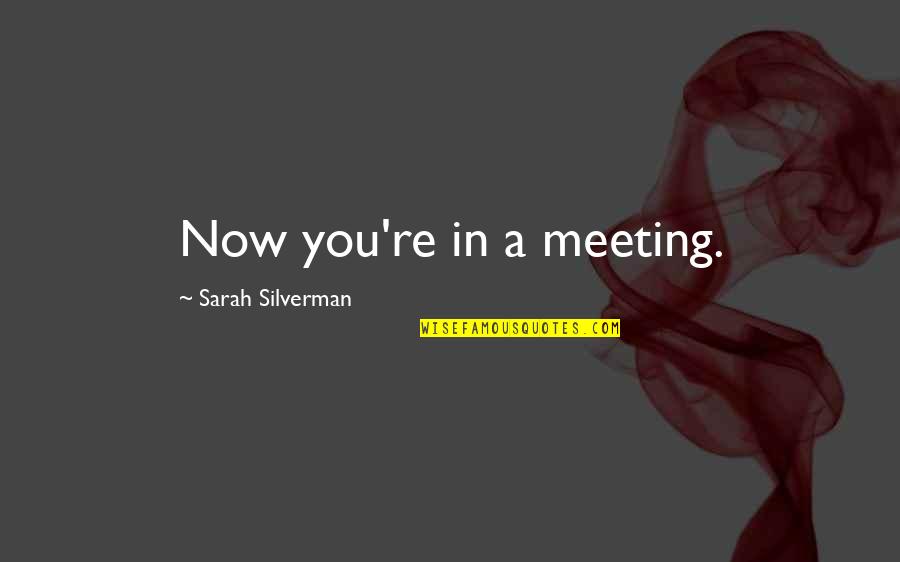 Bonner Springs High School Quotes By Sarah Silverman: Now you're in a meeting. Bonner Springs High School Quotes By Sarah Silverman: Now you're in a meeting.