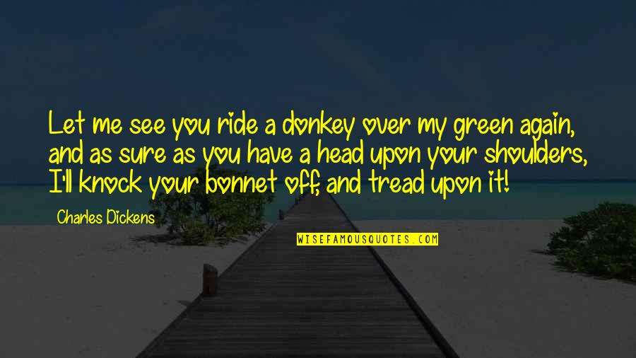 Bonnet Quotes By Charles Dickens: Let me see you ride a donkey over