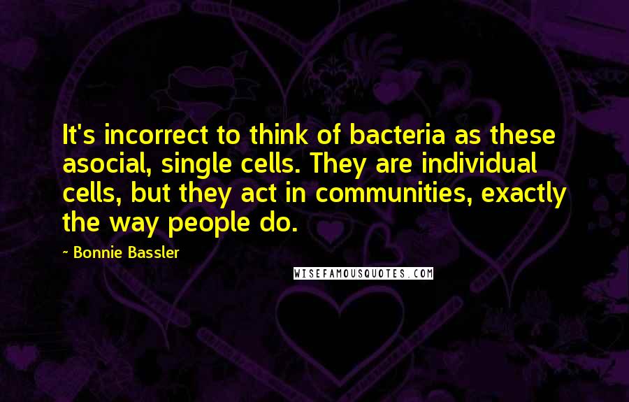 Bonnie Bassler quotes: It's incorrect to think of bacteria as these asocial, single cells. They are individual cells, but they act in communities, exactly the way people do. Bonnie Bassler quotes: It's incorrect to think of bacteria as these asocial, single cells. They are individual cells, but they act in communities, exactly the way people do.