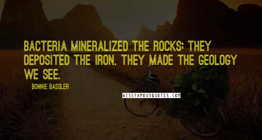 Bonnie Bassler quotes: Bacteria mineralized the rocks; they deposited the iron. They made the geology we see.